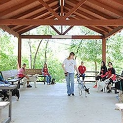 What An Obedient Dog! - Rebeccah teaching the loose leash walking
segment of the dog obedience classes at
Operation Kindness.