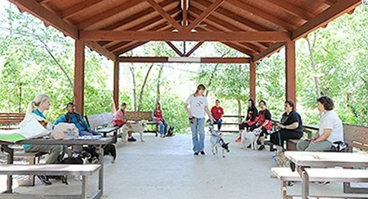 What An Obedient Dog! - pet boarding facility in Carrollton, TX