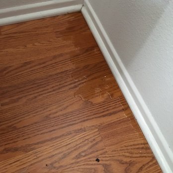 The Bee Man - Honey dripping from our walls on to our floor!!! - Pest Control Near Me - Mission Viejo, California