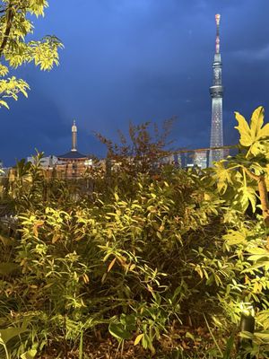 Richmond Hotel Premier Asakusa International by null