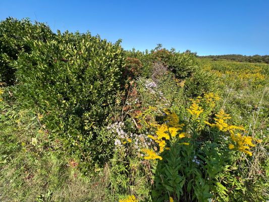 Cavendish Beach, Prince Edward Island National Park by null
