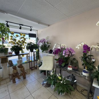 Alexa's Flowers - Florists Near Me - Arcadia, California