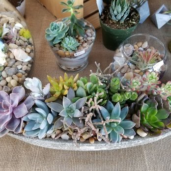 TreasureFest - Love all the colors - Flea Markets Near Me - San Francisco, California TreasureFest - Love all the colors - Flea Markets Near Me - San Francisco, California