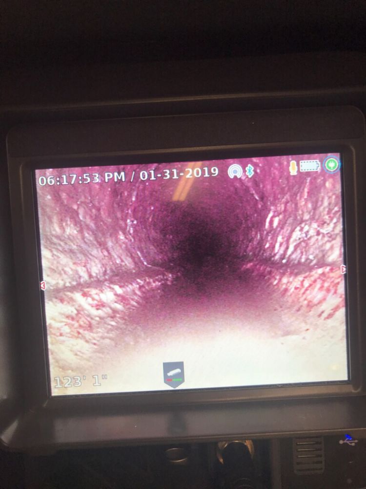 Slide of The Royal Flush Plumbing