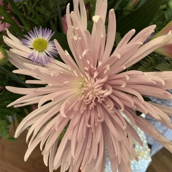 Fred's Flowers & Gifts - Florists Near Me - Hayward, California Fred's Flowers & Gifts - Florists Near Me - Hayward, California