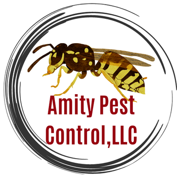 Amity Pest Control - Pest Control Near Me Amity Pest Control - Pest Control Near Me