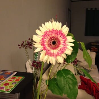 L&S Design Co - Large and wild looking gerbera flowers! - Wedding Planning Near Me - La Mesa, California L&S Design Co - Large and wild looking gerbera flowers! - Wedding Planning Near Me - La Mesa, California