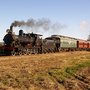 Photo of The Cockle Train