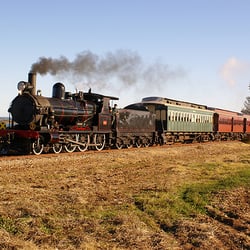 The Cockle Train