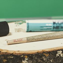 CBD Source - Kobi Pre-Rolls