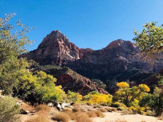 Springdale Zion Inn by null