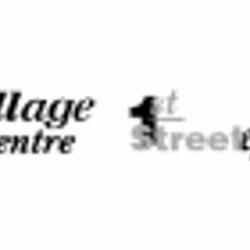 Village Eye Centre - Logo