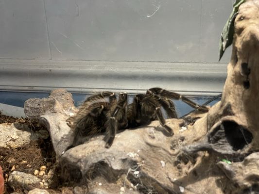 Biomes Marine Biology Center by null