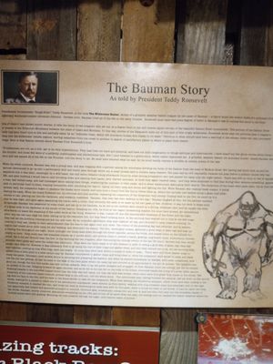 Sasquatch Outpost by null