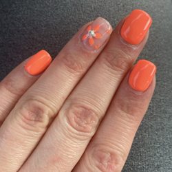 Lifetime Nails & Spa