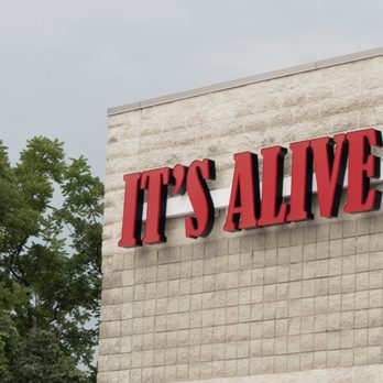 It's Alive Automotive - Car Dealers Near Me - St. Louis, Missouri It's Alive Automotive - Car Dealers Near Me - St. Louis, Missouri