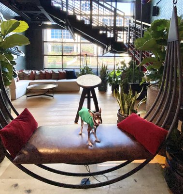 Virgin Hotels Nashville by null Virgin Hotels Nashville by null