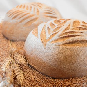 NOVA- Our experience so far