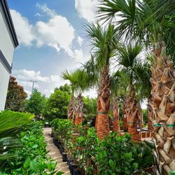 Moon Valley Nurseries