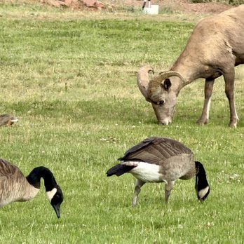 Flying W Ranch - Music Venues Near Me - Colorado Springs, Colorado