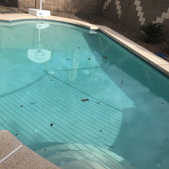 Gorilla Pool Company - Our old pool - Pool Cleaners Near Me Gorilla Pool Company - Our old pool - Pool Cleaners Near Me