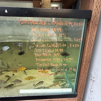 Lotus Aquarium - Aquarium Services Near Me - Lawndale, California Lotus Aquarium - Aquarium Services Near Me - Lawndale, California
