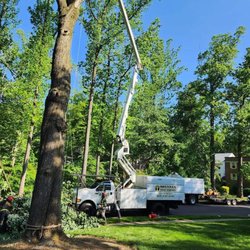 Brennan Tree Service