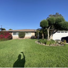 Front Yard before