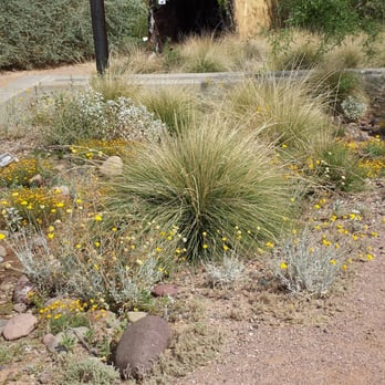 Nina Mason Pulliam Rio Salado Audubon Center - Parks Near Me - Phoenix, Arizona Nina Mason Pulliam Rio Salado Audubon Center - Parks Near Me - Phoenix, Arizona