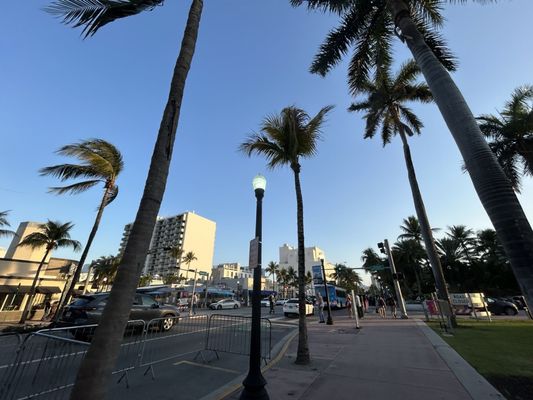 O Cinema South Beach by null