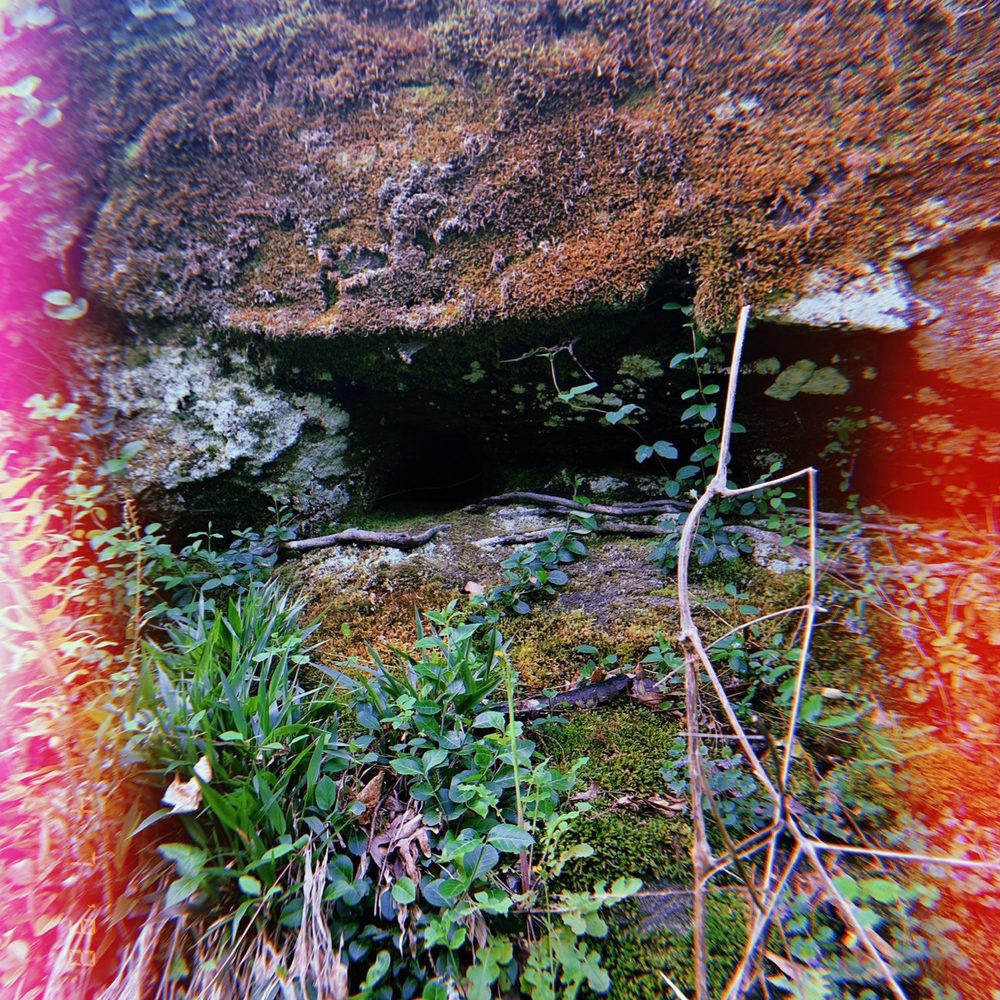 Morningside Nature Preserve - Rock formations - Parks Near Me - Atlanta, Georgia Morningside Nature Preserve - Rock formations - Parks Near Me - Atlanta, Georgia