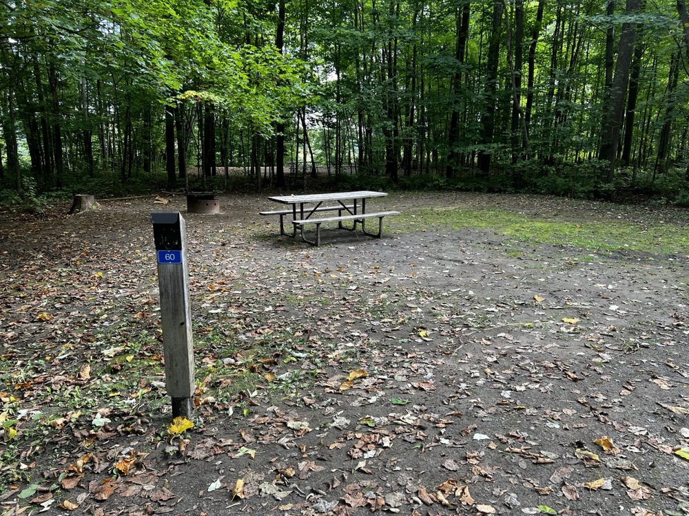 VOYAGEUR PROVINCIAL PARK 53 Photos ChuteàBlondeau, East