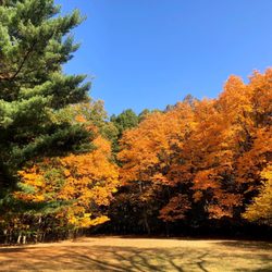 Palmer Park