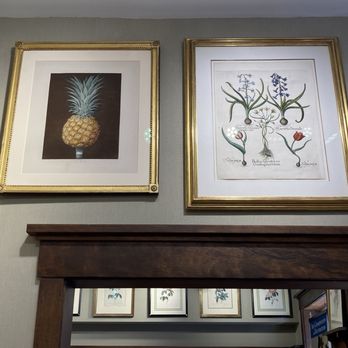 Joel Oppenheimer - Pineapple, Tulipa pricox, Hyancinthus Orientalis, Bulbus fylvestrisseu, - Art Galleries Near Me - Chicago, Illinois