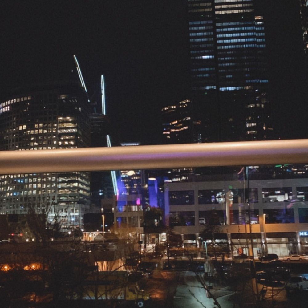 The view
