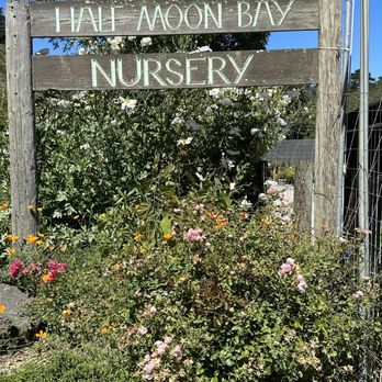 HALF MOON BAY NURSERY - Updated June 2025 - 842 Photos & 341 Reviews