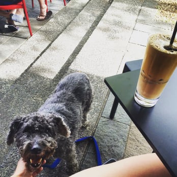 Social Brew Cafe - Forgot to take a photo this time but here is a previous time at Social Brew - Cafes Near Me - Pyrmont, NSW Social Brew Cafe - Forgot to take a photo this time but here is a previous time at Social Brew - Cafes Near Me - Pyrmont, NSW