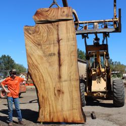 Far West Forest Products