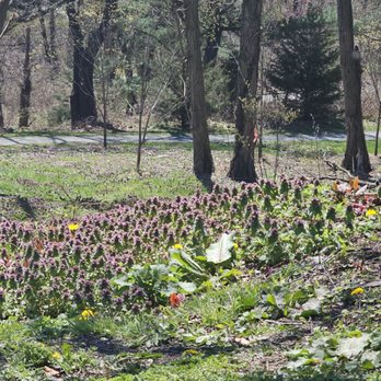Highland Park - Parks Near Me - Brooklyn, New York Highland Park - Parks Near Me - Brooklyn, New York