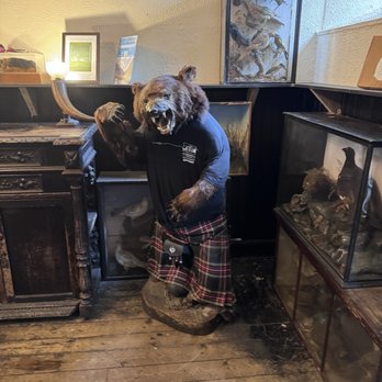 The Drovers Inn - Famous bear - Pubs Near Me - Arrochar, AGB The Drovers Inn - Famous bear - Pubs Near Me - Arrochar, AGB