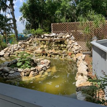 Brent Allan Salon & Day Spa - Future koi pond - Skin Care Near Me - Cocoa, Florida Brent Allan Salon & Day Spa - Future koi pond - Skin Care Near Me - Cocoa, Florida