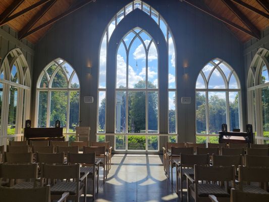 Elmwood Cemetery by null