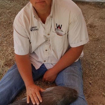 Whitley Acres - Petting Zoos Near Me Whitley Acres - Petting Zoos Near Me