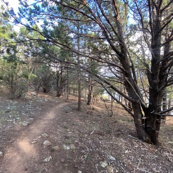 Show Low Lake County Park - Nice lake trail - Campgrounds Near Me - Lakeside, Arizona Show Low Lake County Park - Nice lake trail - Campgrounds Near Me - Lakeside, Arizona