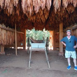 Mount Harmon Plantation - We really liked the tobacco barn! It smelled so good.