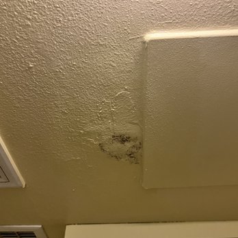 Royal Grove Waikiki - Mold - Hotels Near Me - Honolulu, Hawaii
