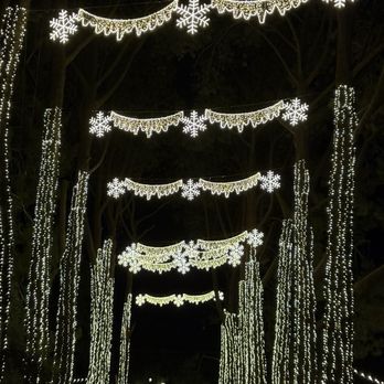 123 Farm - Some of their Christmas decorations during Christmas time or winter season - Farmers Market Near Me - Cherry Valley, California
