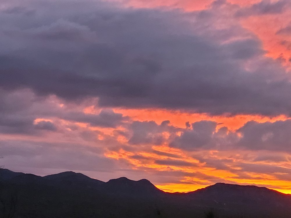 PALO VERDE RV PARK Updated October 2024 9880 N Malpais Rd