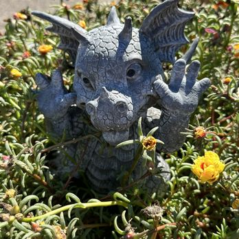 Dragon Delights - a statue of a dragon in a garden - Organic Stores Near Me - Ramona, California Dragon Delights - a statue of a dragon in a garden - Organic Stores Near Me - Ramona, California