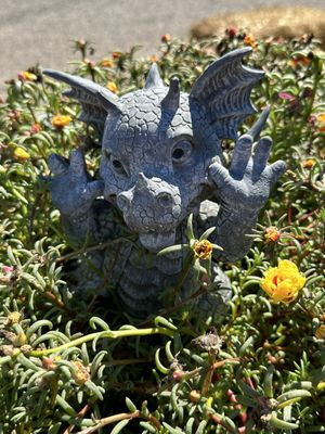 Dragon Delights by null